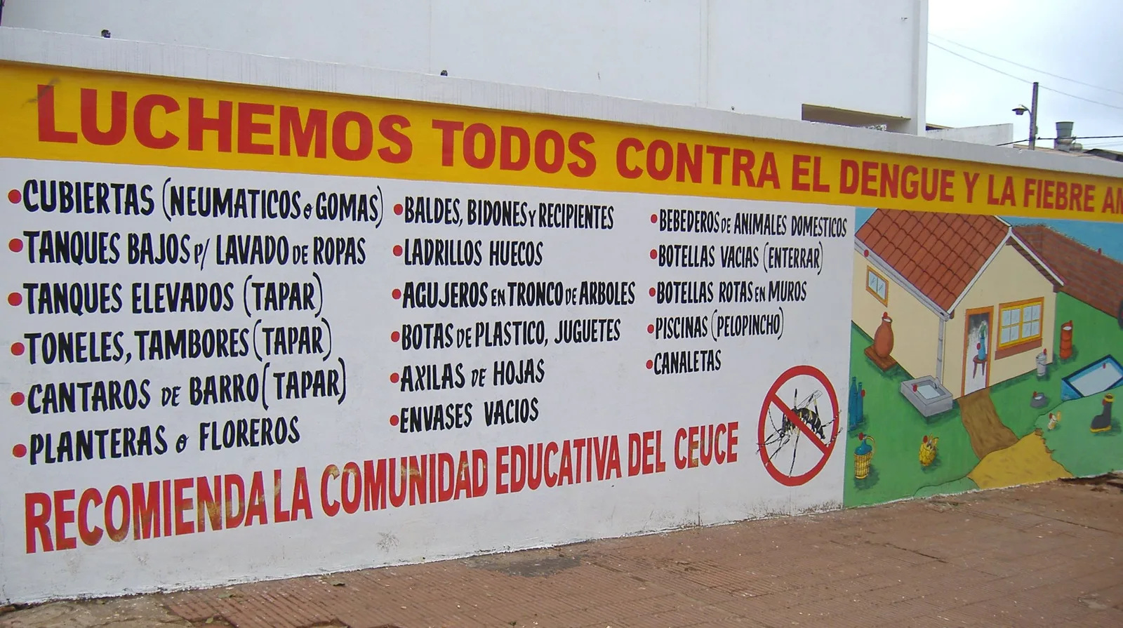 Dengue in Paraguay 2026: vaccinaties, muggen en zorg