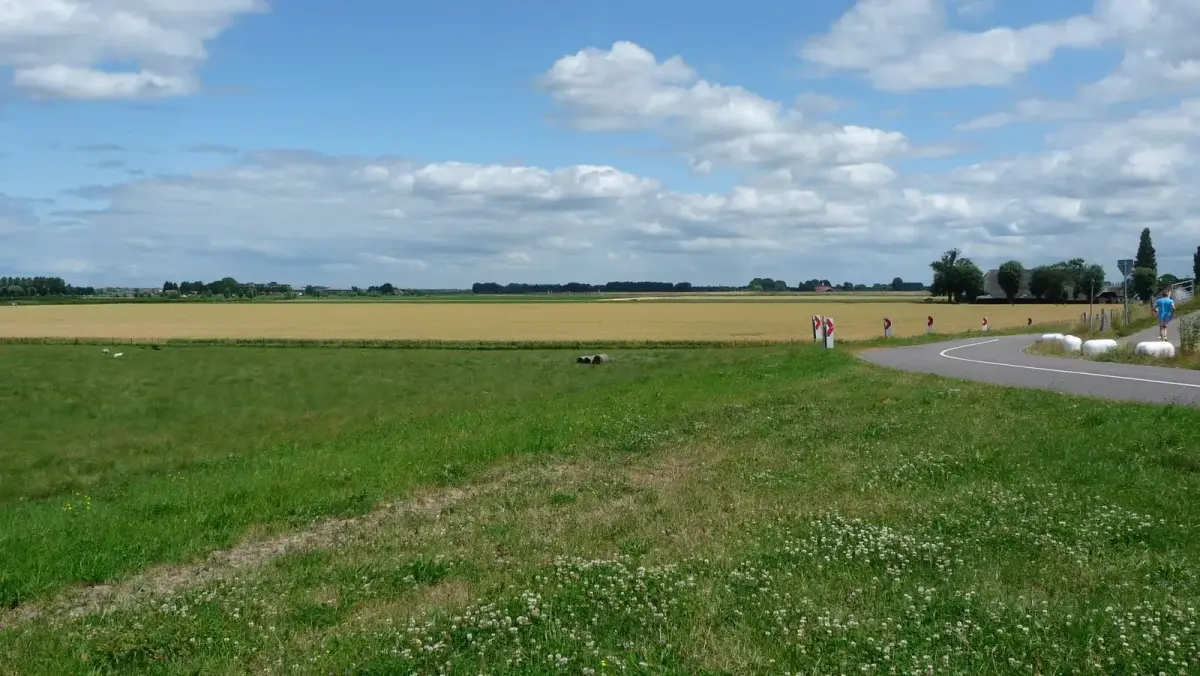 Akkerland en weiland langs de Aaldijk bij Hekelingen, Nederlandse landbouwgrond met een gemiddelde prijs per hectare van ruim 100.000 euro