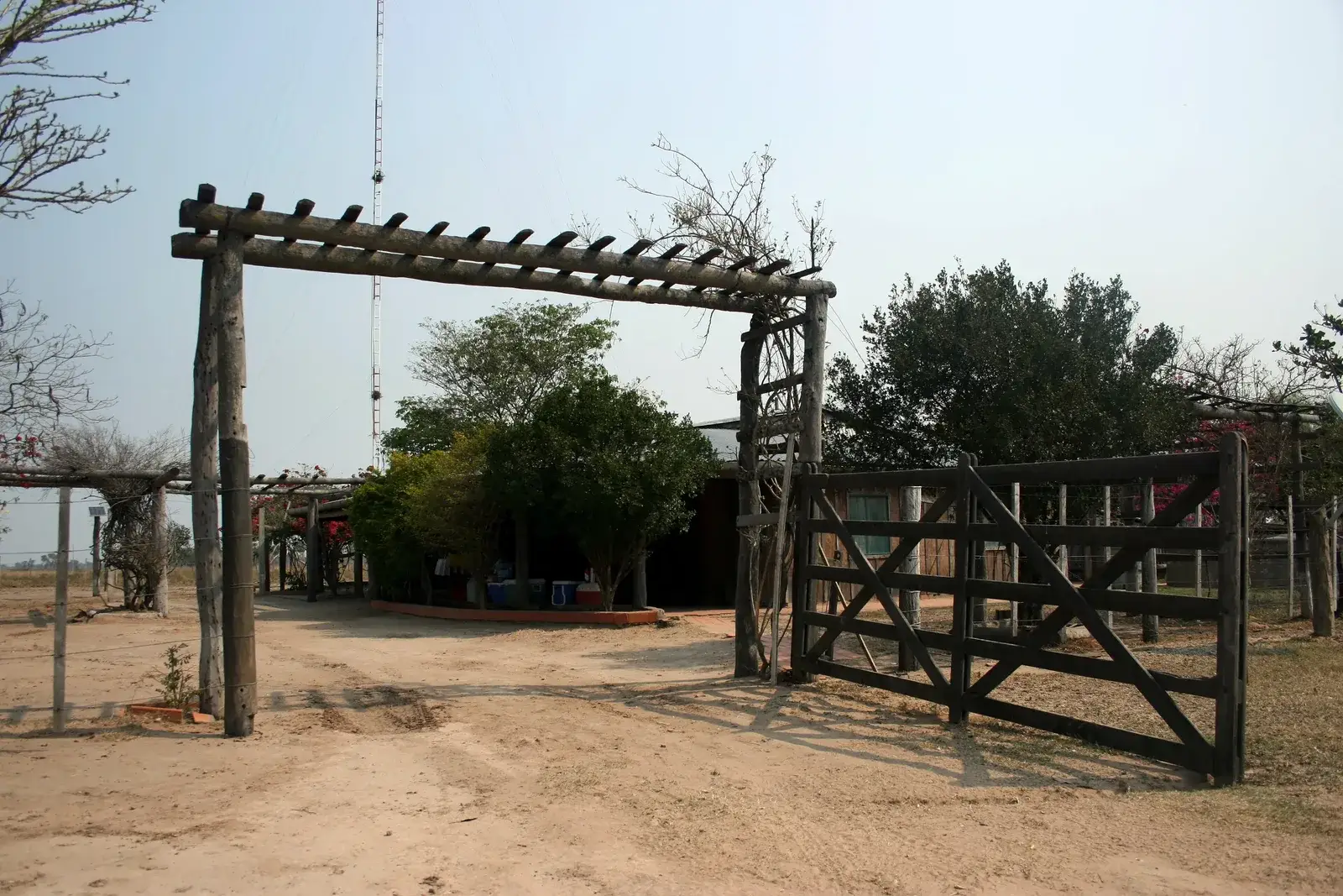 Landbouwgrond kopen in Paraguay: estancia, bos en regels