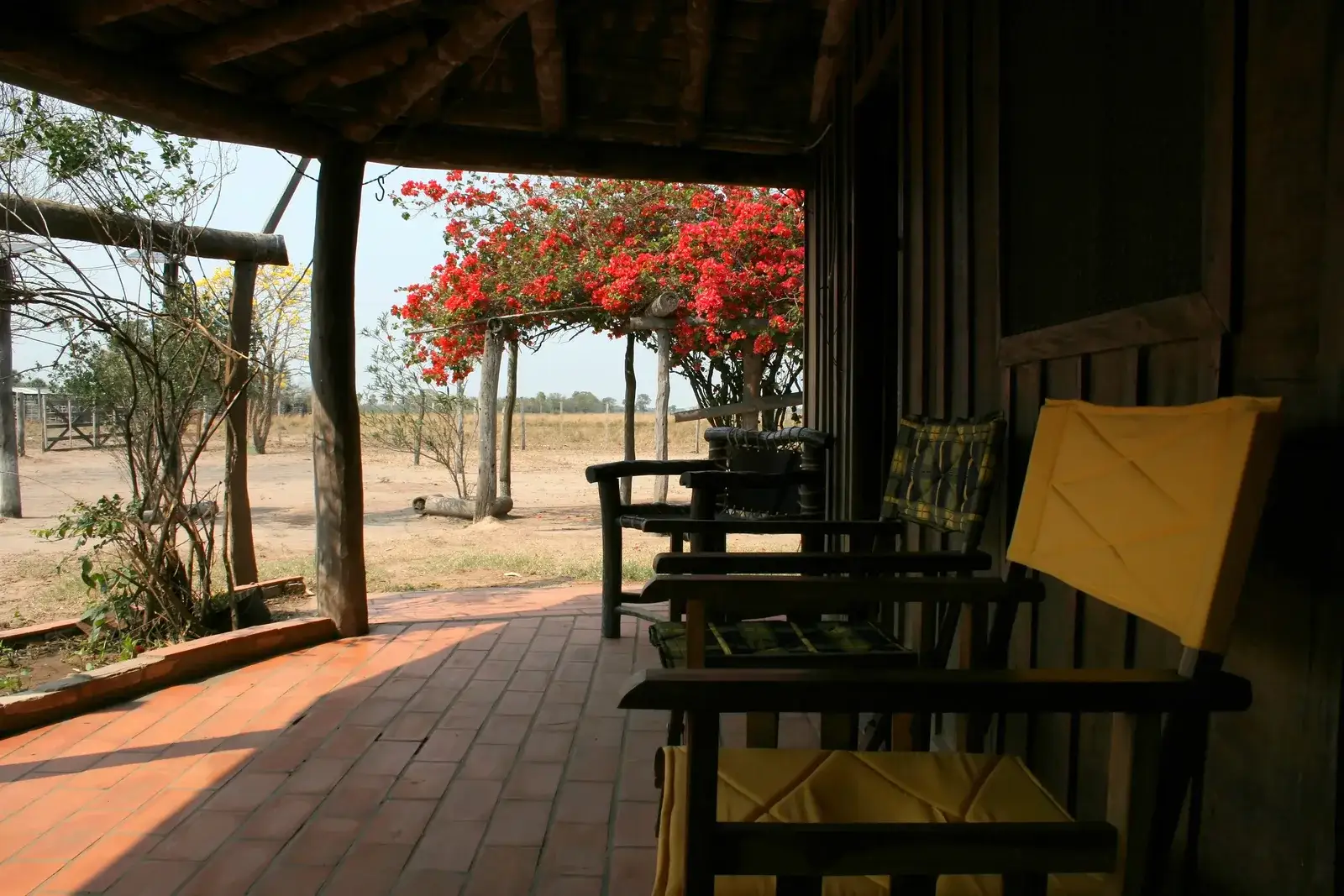 Veranda van een estancia in de Chaco met droog weiland en kralen op de achtergrond, typisch beeld bij een estancia kopen in Paraguay