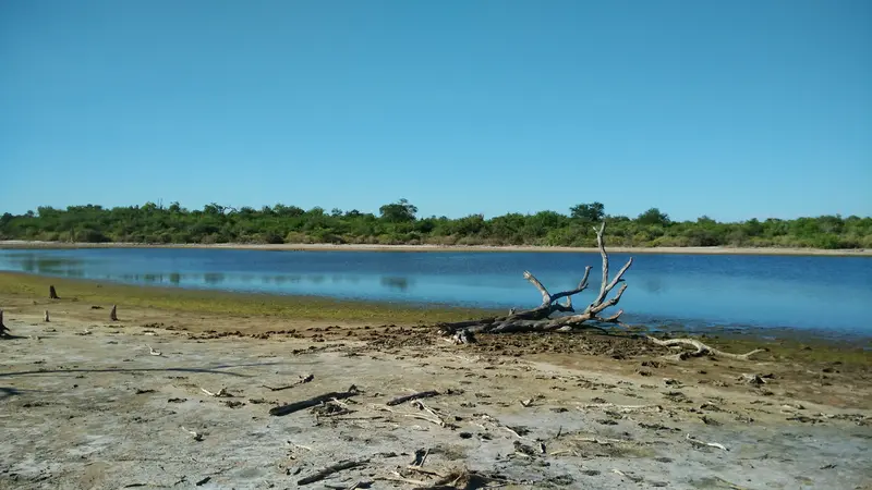 Landschap in de Paraguayaanse Chaco, kenmerkend voor de natuur van Paraguay