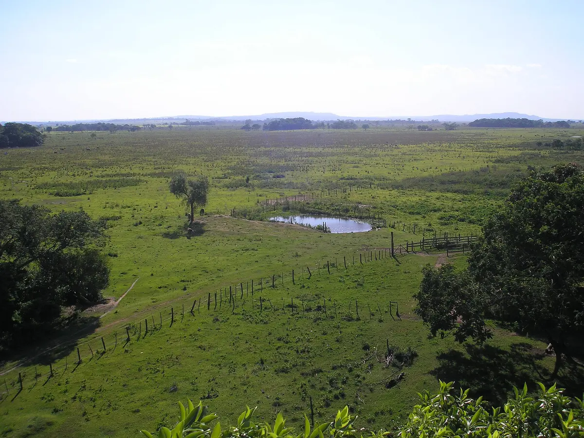 Het Paraguayaanse platteland buiten Asunción, met groene velden onder een open hemel