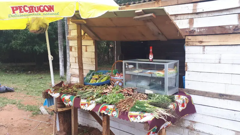 Een eenvoudige kruidenstal langs de weg in Paraguay, beeld van het andere, eenvoudiger dagelijks leven