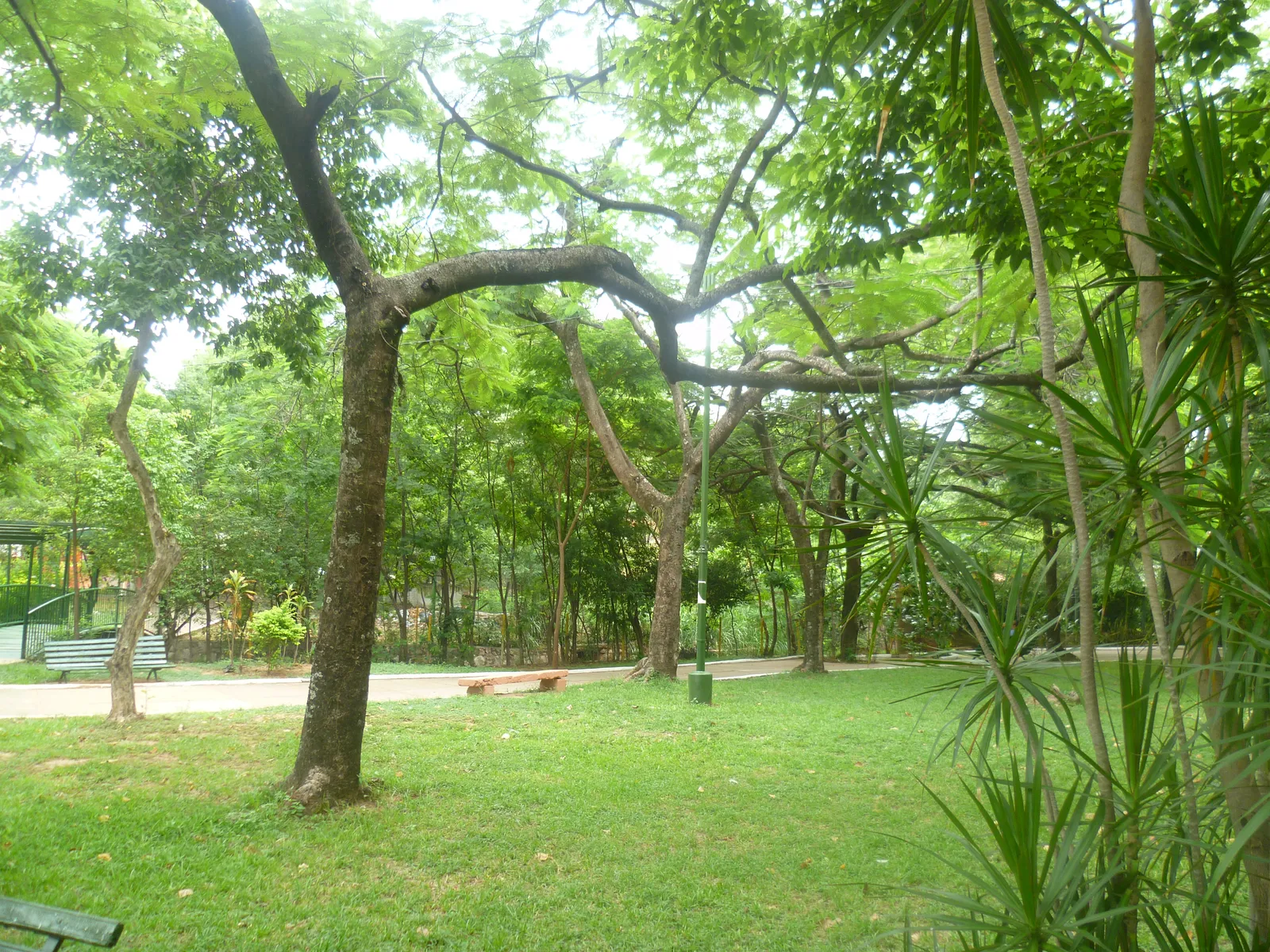 Groen plein met bomen, gazon en bankjes aan de Avenida Mariscal López in de wijk Recoleta in Asunción